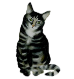 Mr. Mau the tabby cat